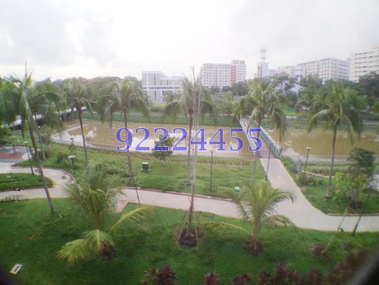 Blk 123 Pasir Ris Street 11 (Pasir Ris), HDB Executive #165081272